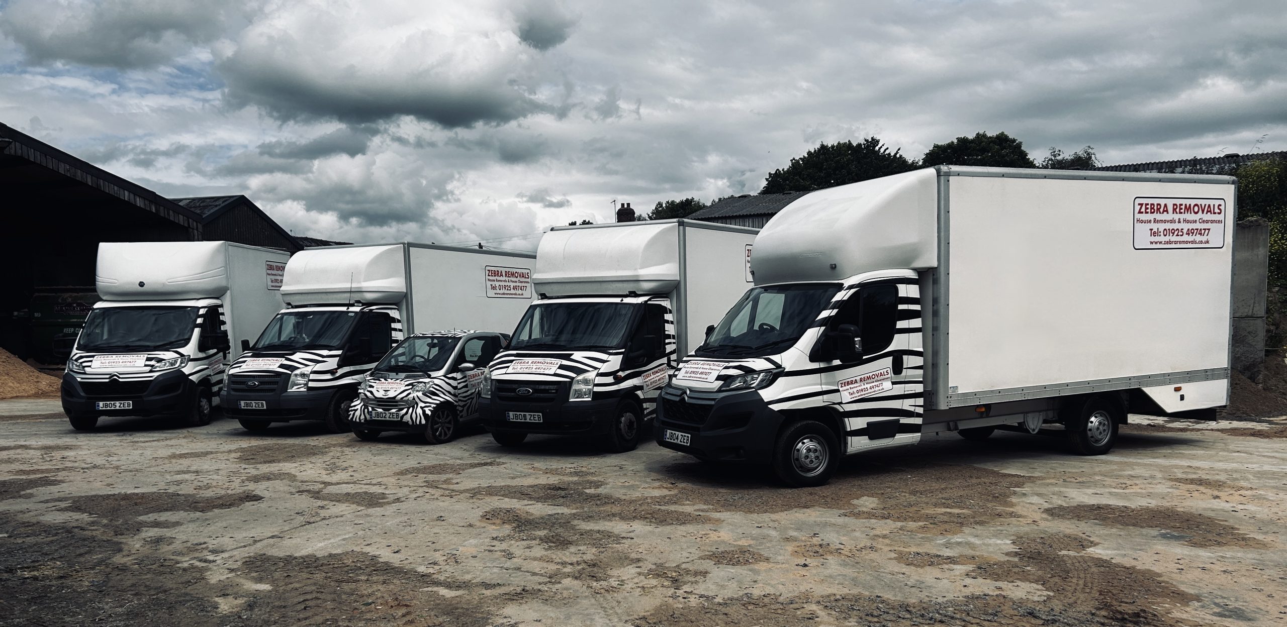 Zebra Removals Vans